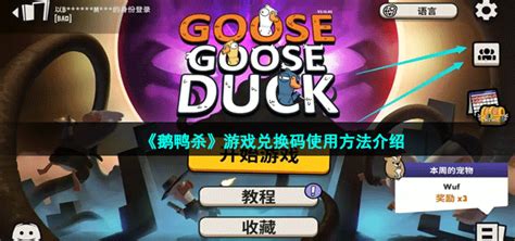 鹅鸭杀2023兑换码在哪使用 鹅鸭杀goosegooseduck游戏兑换码使用方法介绍 牛特市场