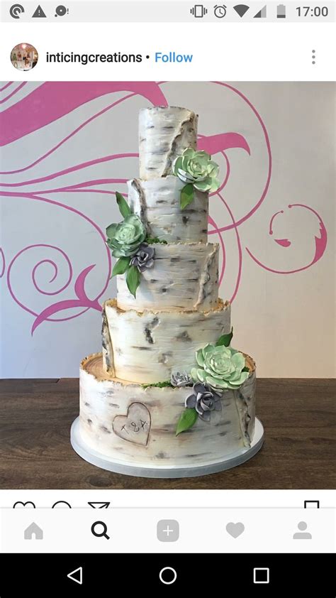 Birch Effect Cake With Succulents Birch Wedding Cakes Birch Tree