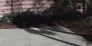 Tyler Stevens Porn Videos