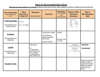 Organic Polymers Macromolecule Chart For Biology TPT