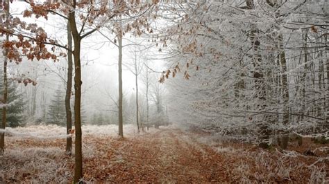 Prognoza Meteo Ianuarie Vremea Va Continua S Se Nc Lzeasc