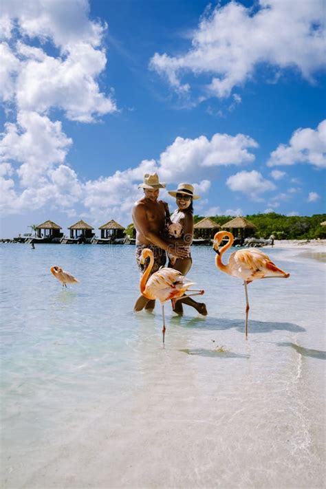 Playa Aruba Con Flamencos Rosas En La Playa Flamingo En La Playa De