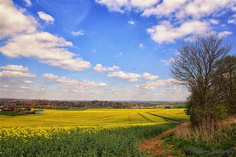 Hintergrundbilder Sonnenlicht Bäume Landschaft Hügel Natur Gras