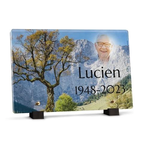 Plaque Fun Raire Rectangle Arbre Montagne