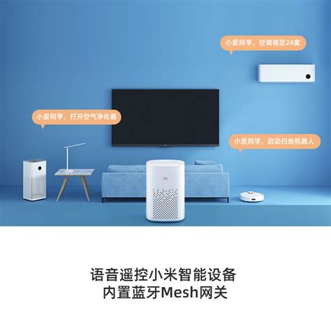 小米小爱同学音箱 Play 智能设备控制 人工智能语音对话 蓝牙wifi 智能闹钟 孩子的故事王小米（mi）