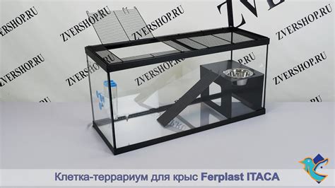 Клетка-террариум Ferplast для крыс Itaca - YouTube