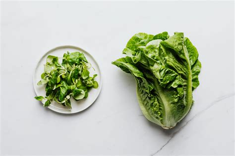 Leafy Vegetables Photos, Download The BEST Free Leafy Vegetables Stock ...