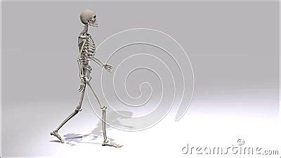 Walking Skeleton stock video footage. Video of posing - 35663933