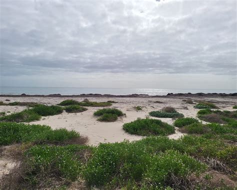 Gallery 2 — Busselton Beach Resort