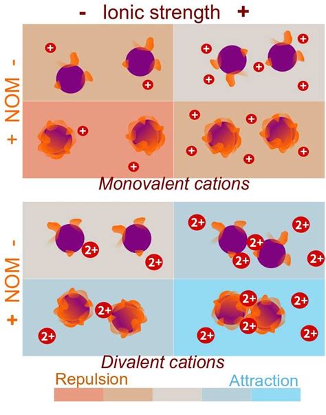20: Schematics of how ion valency, ionic strength and NOM... | Download ...