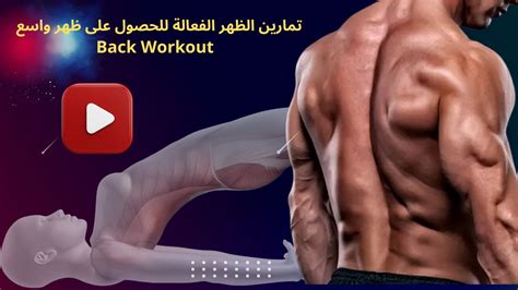 تمارين الظهر الفعالة للحصول على ظهر واسع Back Workout Youtube