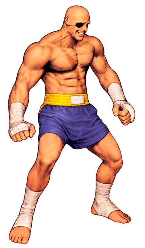 Sagat Street Fighter Image By Capcom Zerochan Anime