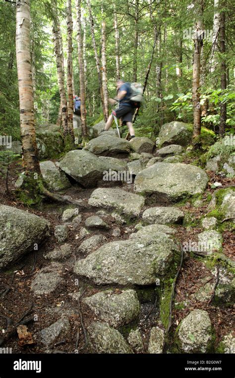 Appalachian Trail...White Mountains, New Hampshire Stock Photo - Alamy