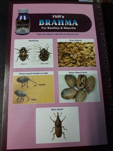 Organic Agro Pesticides At Best Price In Hyderabad Telangana Brahmani Homeo Care