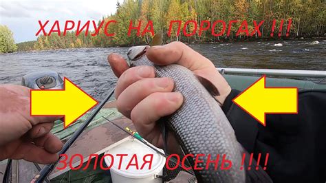 Хариус на порогах, попловочный настрой на течении.#Хариус #Река #Пороги ...