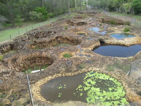 worth popping in - Review of Mystery Craters, Bundaberg, Australia ...