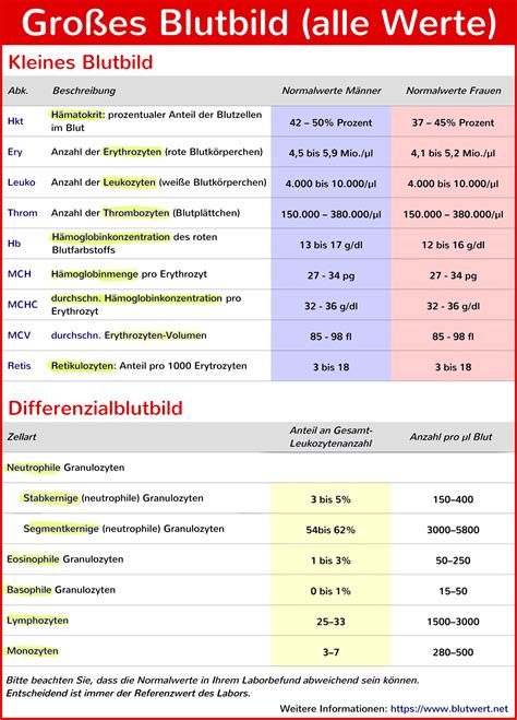 Großes Blutbild Optimale Werte Und Einfache Erklärungen