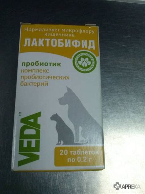 Лактобифид для собак: инструкция и показания к применению, цены, отзывы