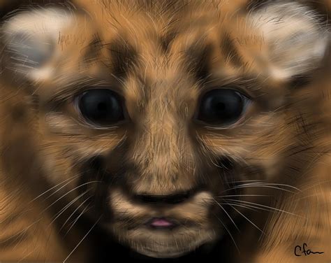 Baby Florida Panther Digital Art by Christine Fournier - Pixels