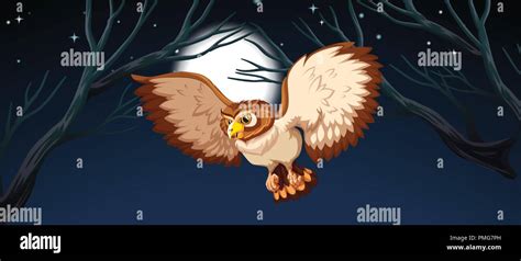 An owl hunting at night illustration Stock Vector Image & Art - Alamy