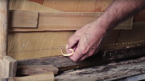 Building A Traditional Birch Bark Canoe With Tom Byers Global Bushlife