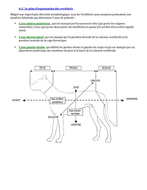 Chapitre 3 La Biodiversité Résultat Et étape De Lévolution Alloschool