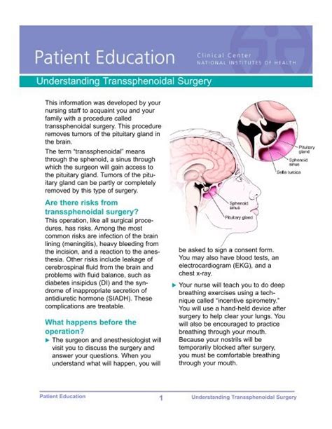 Understanding Transsphenoidal Surgery