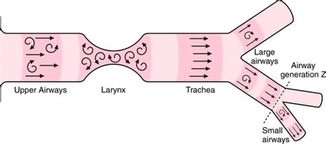 The Contribution Of Small Airway Obstruction To The Pathogenesis Of