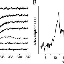 A X Band Continuous Wave EPR Frozen Solution Spectra Of Intact Sf21