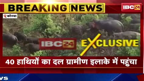 Korba Elephant News बालको और पसरखेत रेंज में घुसे हाथी। 40 हाथियों का