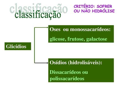 Glicidios São Carboidratos - PPT - GLICÍDIOS OU CARBOIDRATOS PowerPoint Presentation, free download ...