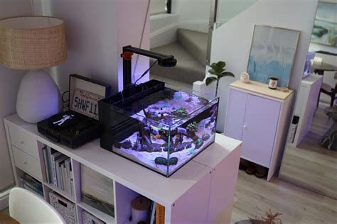 Nano Saltwater Tanks Reef Casa