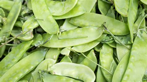 Snow Peas Vs Snap Peas Uncovering The Key Differences