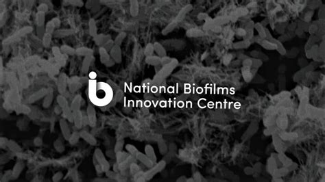 Supporting The New Uk National Biofilms Innovation Centre Hartree Centre