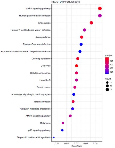 Kegg Enrichment Pathways Of Differential Methylated Genes In Mars