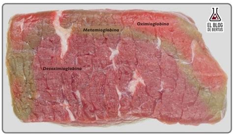 Por Qu La Carne Congelada Se Pone Mala