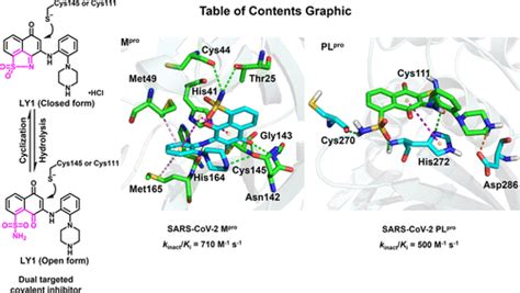 Structure Based Design Of A Dual Targeted Covalent Inhibitor Against