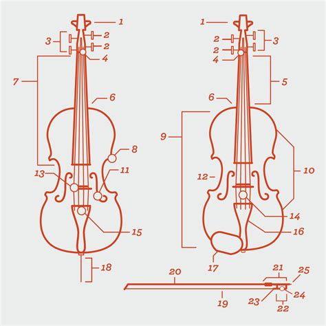 Violin Parts Diagram