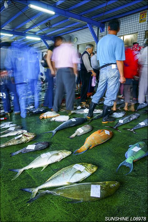 L08978富岡漁港 富崗漁港 台東縣 台東市 漁業 魚 漁獲 拍賣 Taiwan Eastern Coast F Flickr