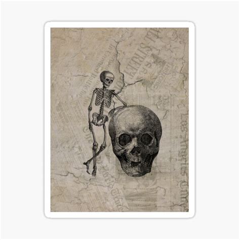 "Vintage Halloween Skeleton" Sticker for Sale by dthibian | Redbubble