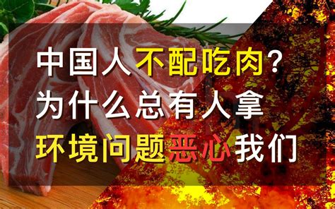 中国人不配吃肉？为什么总有人拿环境问题恶心我们 哔哩哔哩 Bilibili