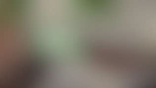 Bts Footage Of Moona Snake S Passionate Bedroom Sex Video Porno Gratis Youporn