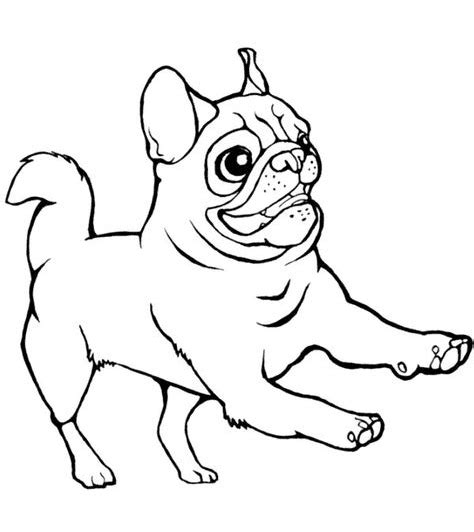 Dibujo De Perro Pug Para Colorear Dibujos Para Colorear Imprimir Gratis