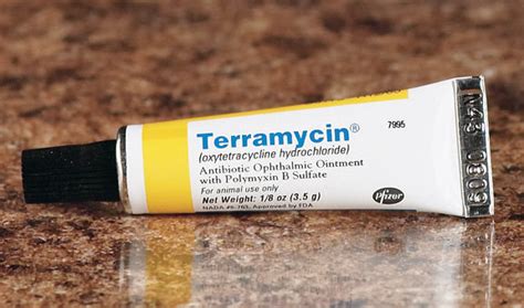 Terramycin Teramisin Krem Nedir Ne İşe Yarar KizlarSoruyor