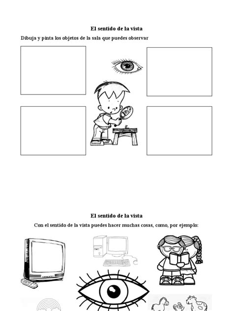 el sentido de la vista fichas