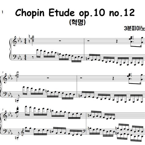 쇼팽 에튀드 혁명 피아노 악보 일반 악보 Chopin Etude Op10 No12 3분피아노