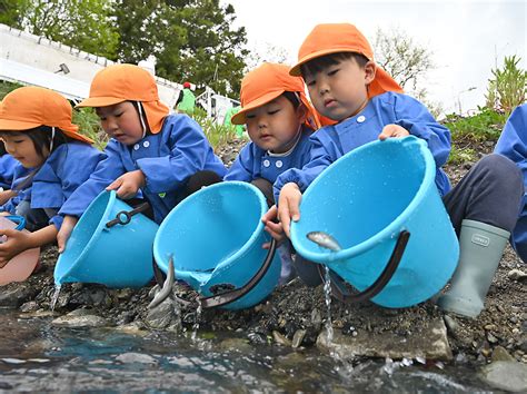 Web東海新報｜「大きく育ってね」 世田米保と横田保 園児が気仙川に稚アユ放流（別写真あり）