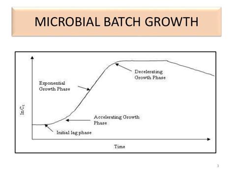 Growth Kinetics