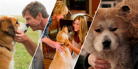 Les Films De Chiens Les Plus Tristes Class S Crumpe