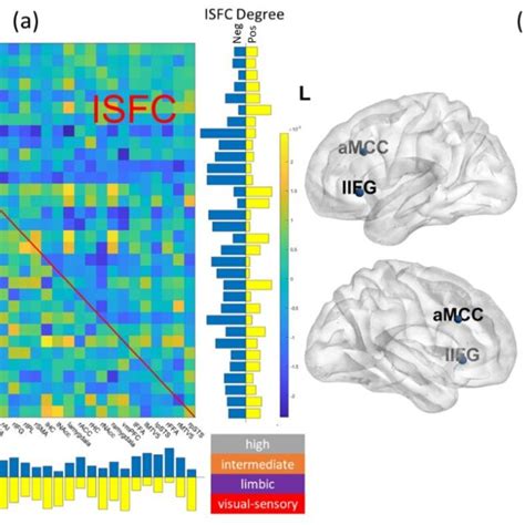 A Visualization Of Beta Coefficients Of The Final Joint Model And The